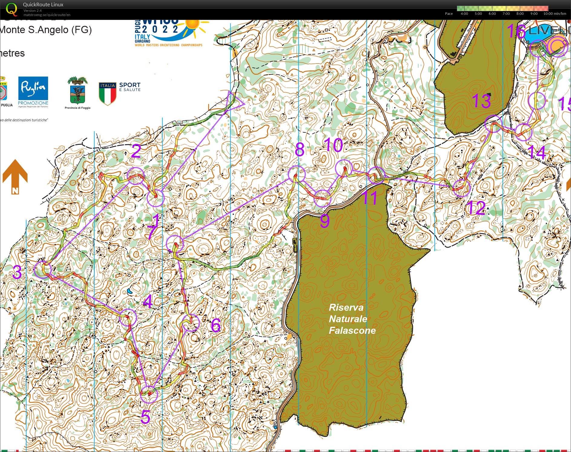 WMOC Qualification Foret (13-07-2022)